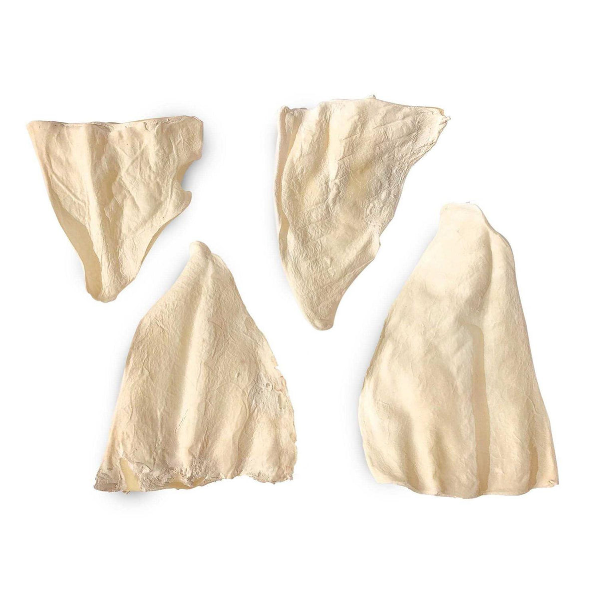 Cow Ears V875552