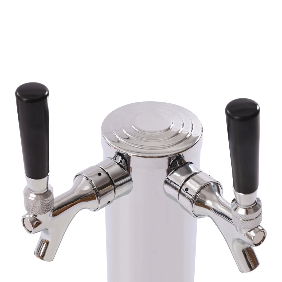 Stainless Steel Double Tap Beer Conversion Kit with Dual Gauge Regulator E82420