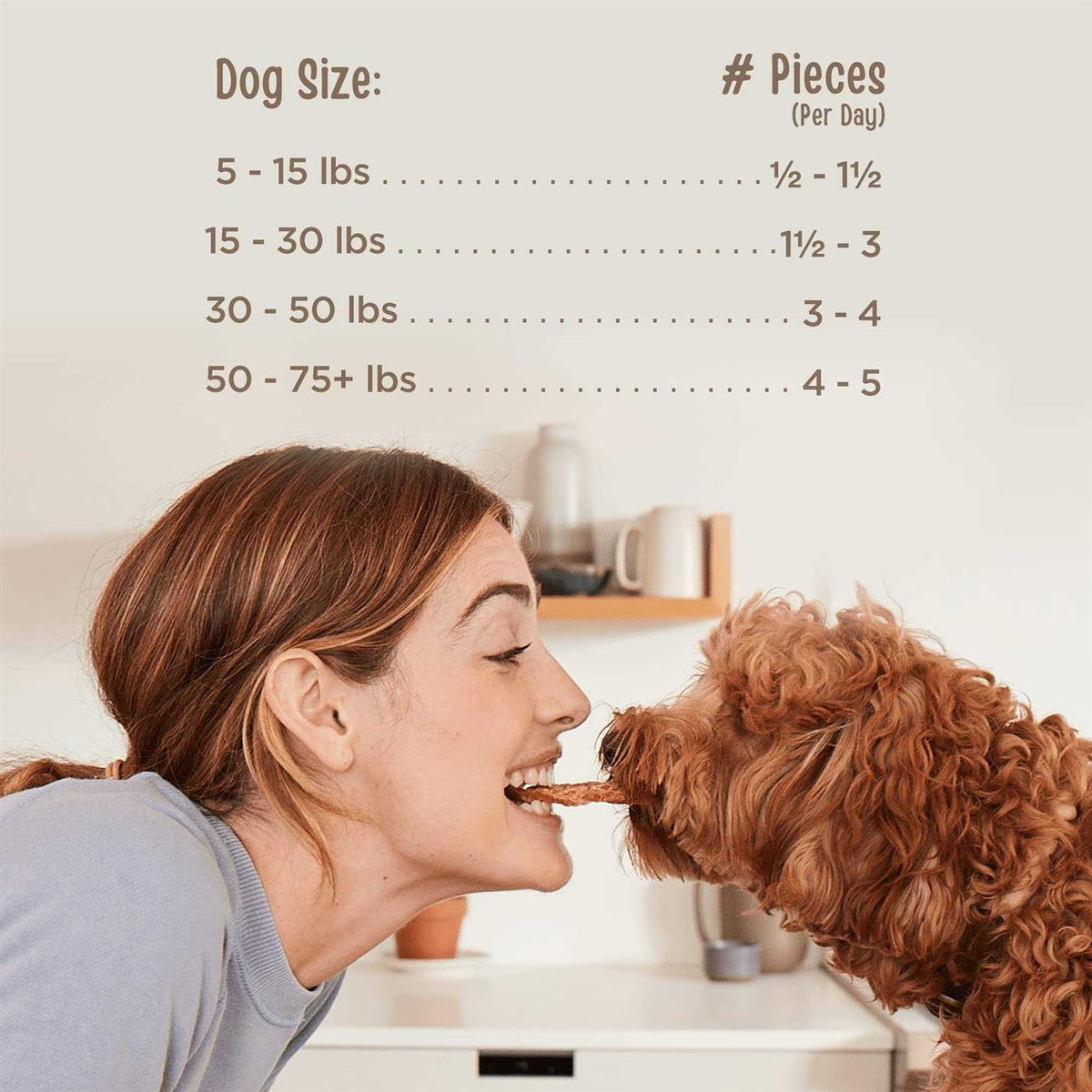 Beef Recipe Savory Sticks Dog Treats G1402