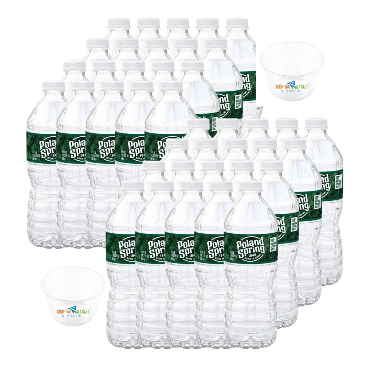 16.9 Fl Oz 40 Pack Spring Water G160