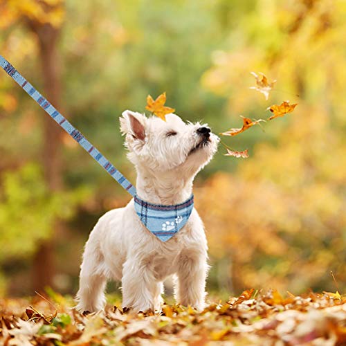 Blue Plaid Dog Collar and Leash Set Q5072