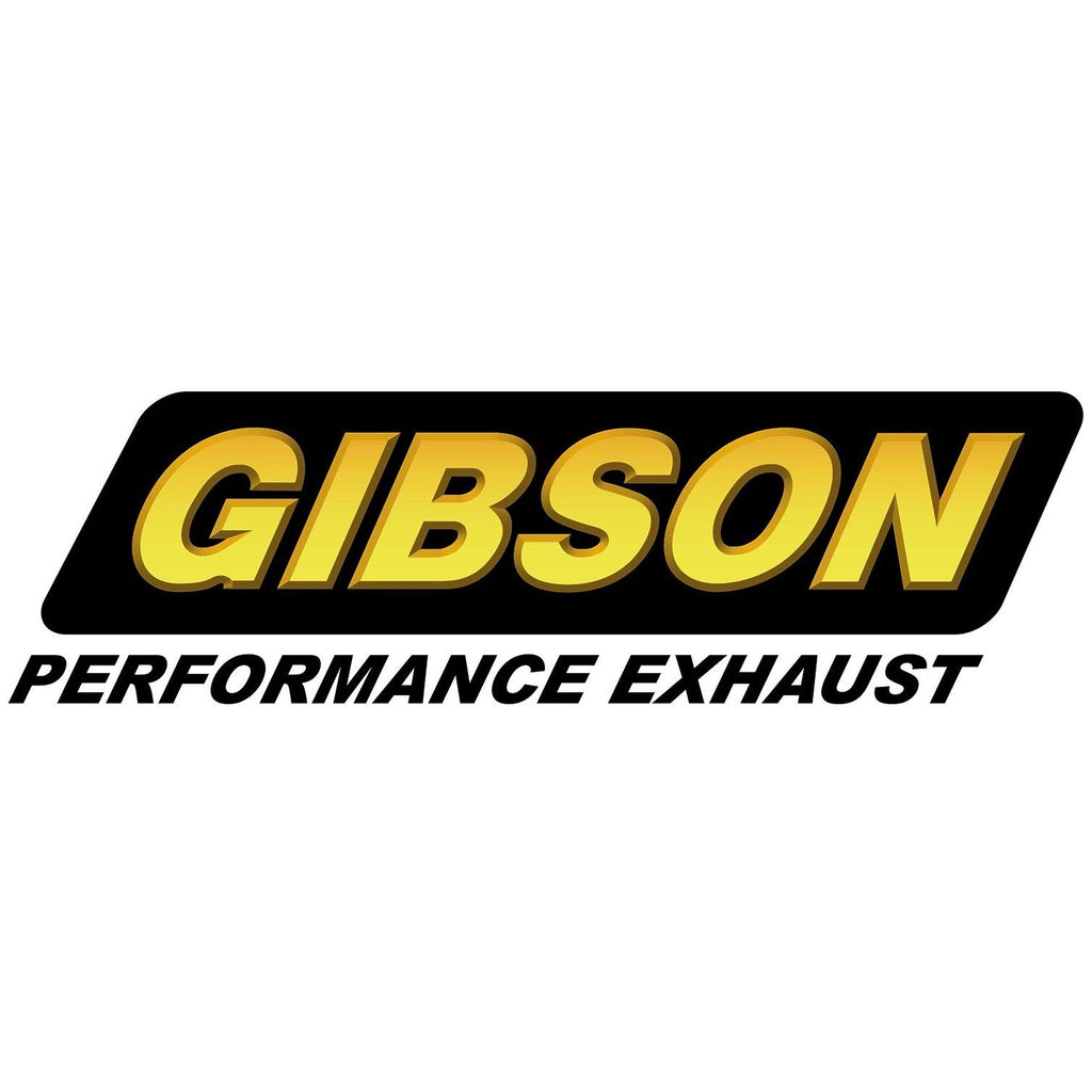 Aluminized Cat-Back Single Exhaust System D760