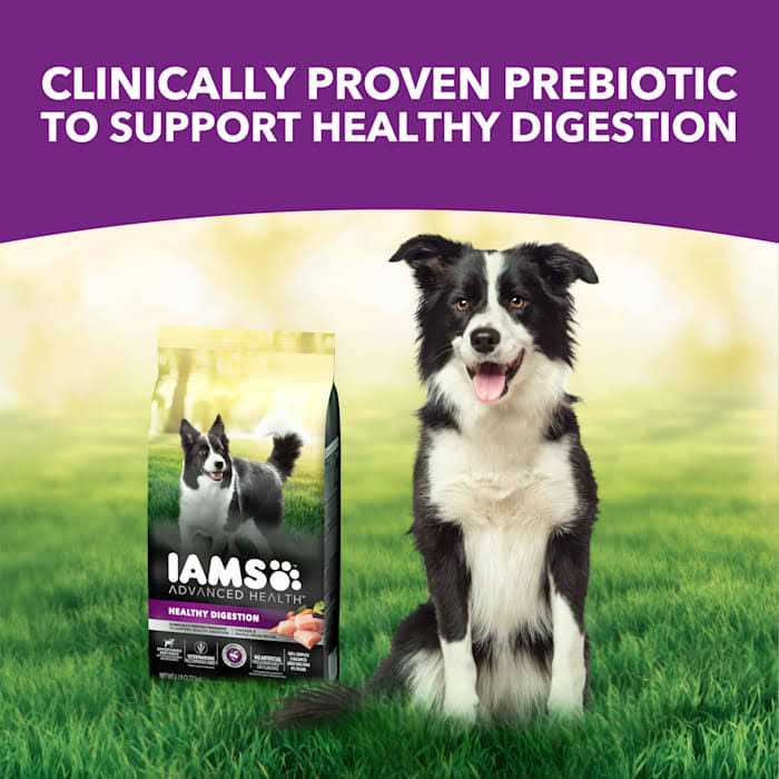 Healthy Digestion Dry Dog Food with Real Chicken F624023