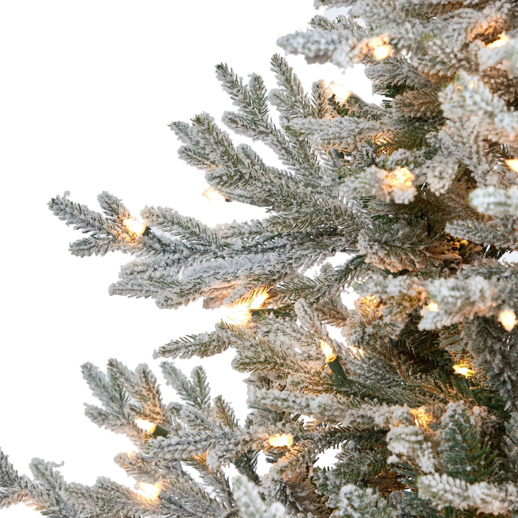 Flocked Fraser Fir Christmas Tree with 600 Warm White Lights F90024