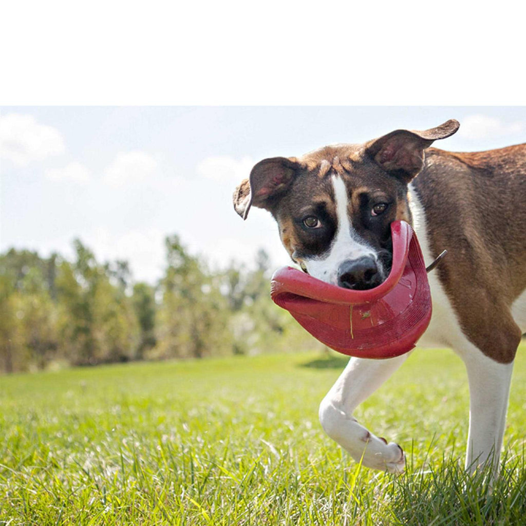 Dog Toy C592859