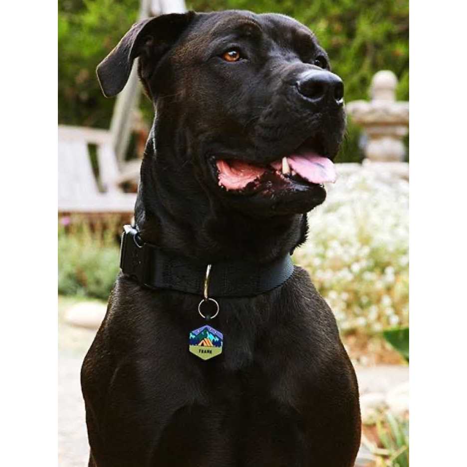 Silicone Dog ID Tag Z1298