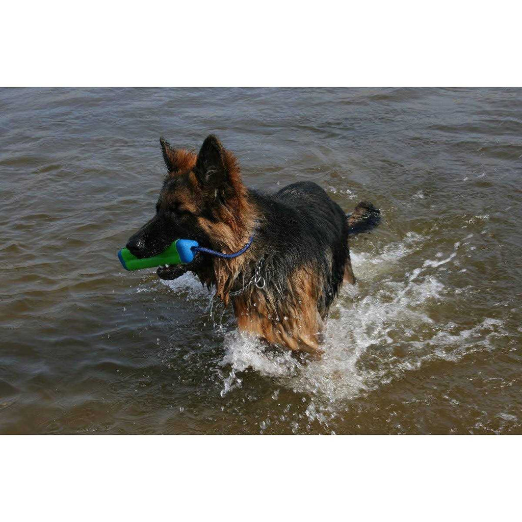 Amphibious Bumper Toy G910