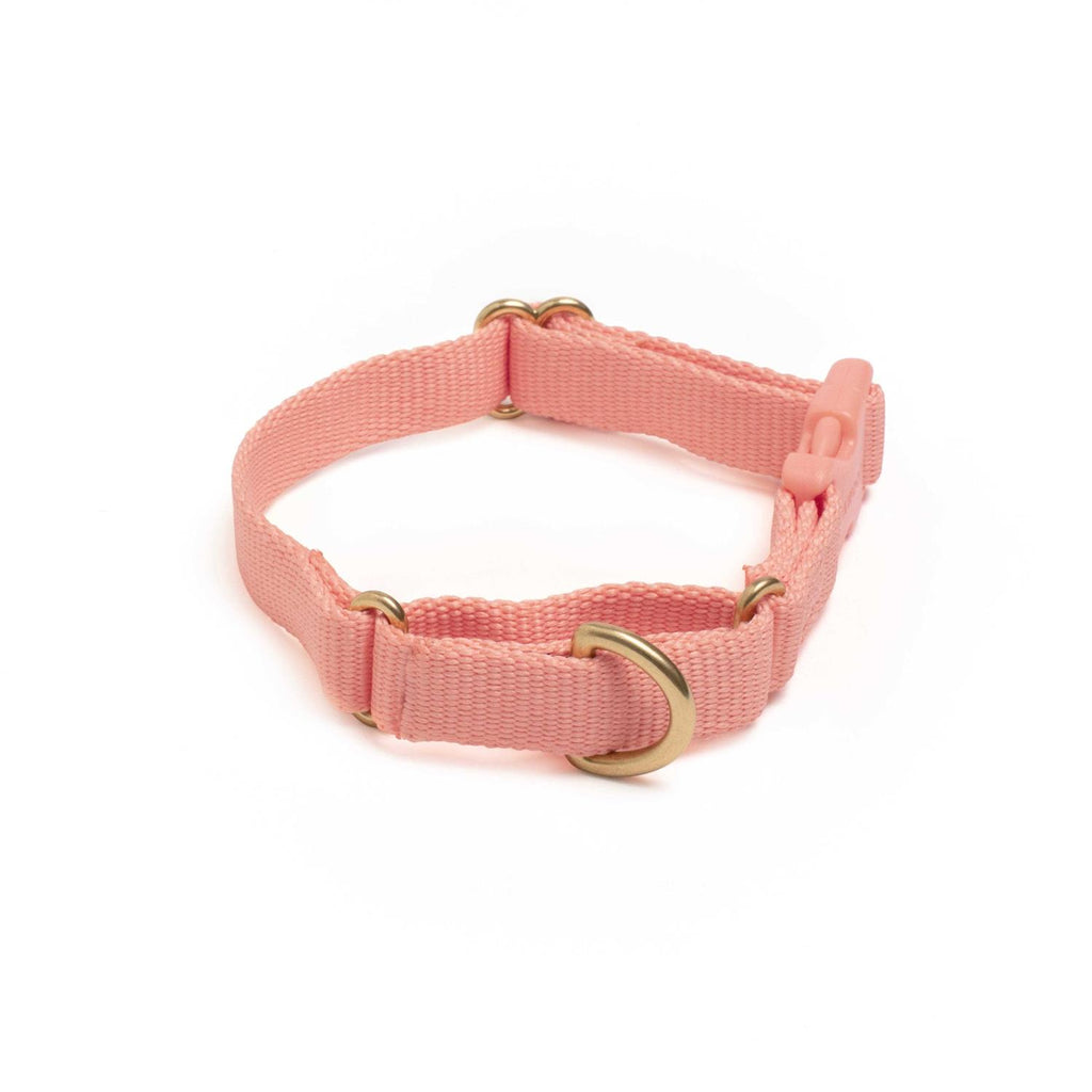 Martingale Dog Collar Y347