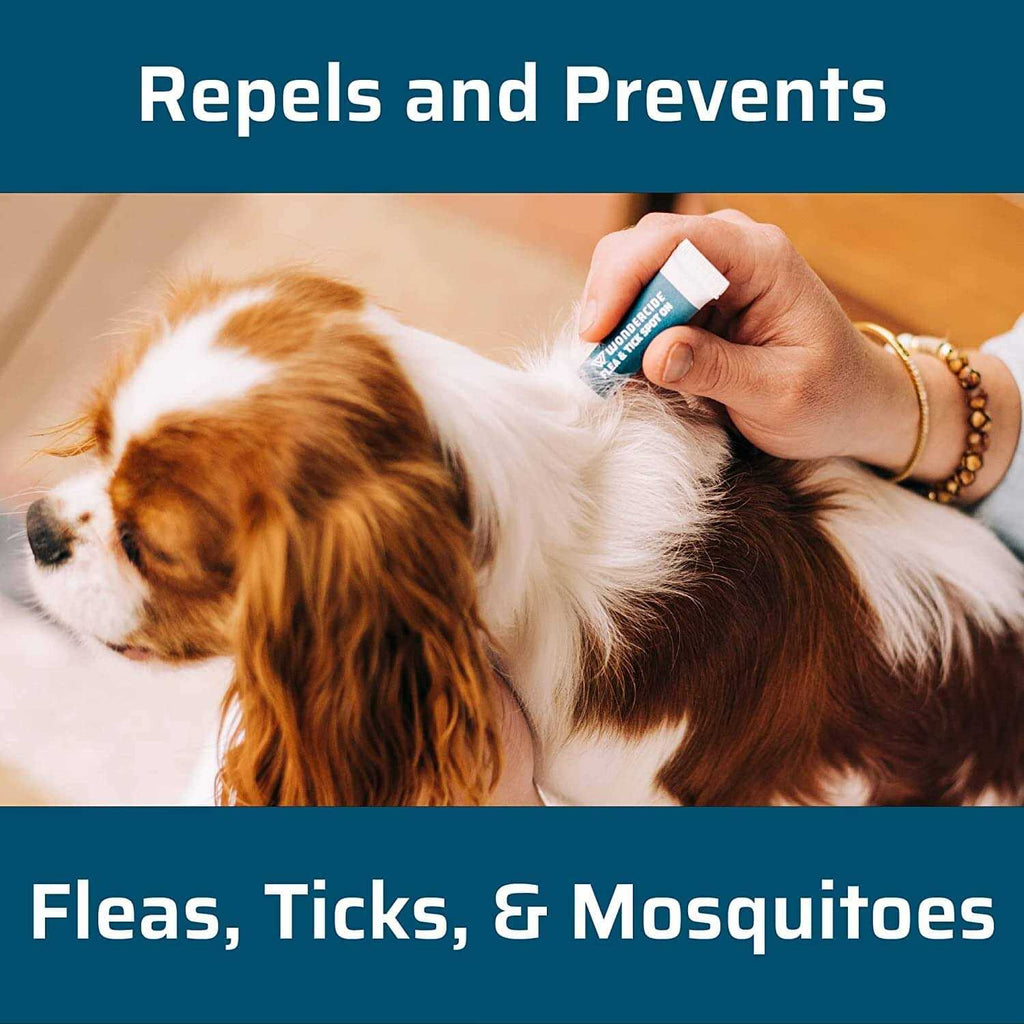 Flea & Tick Spot On for Dogs E34327
