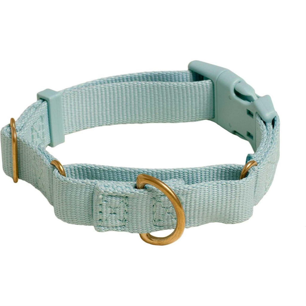 Martingale Dog Collar Y347