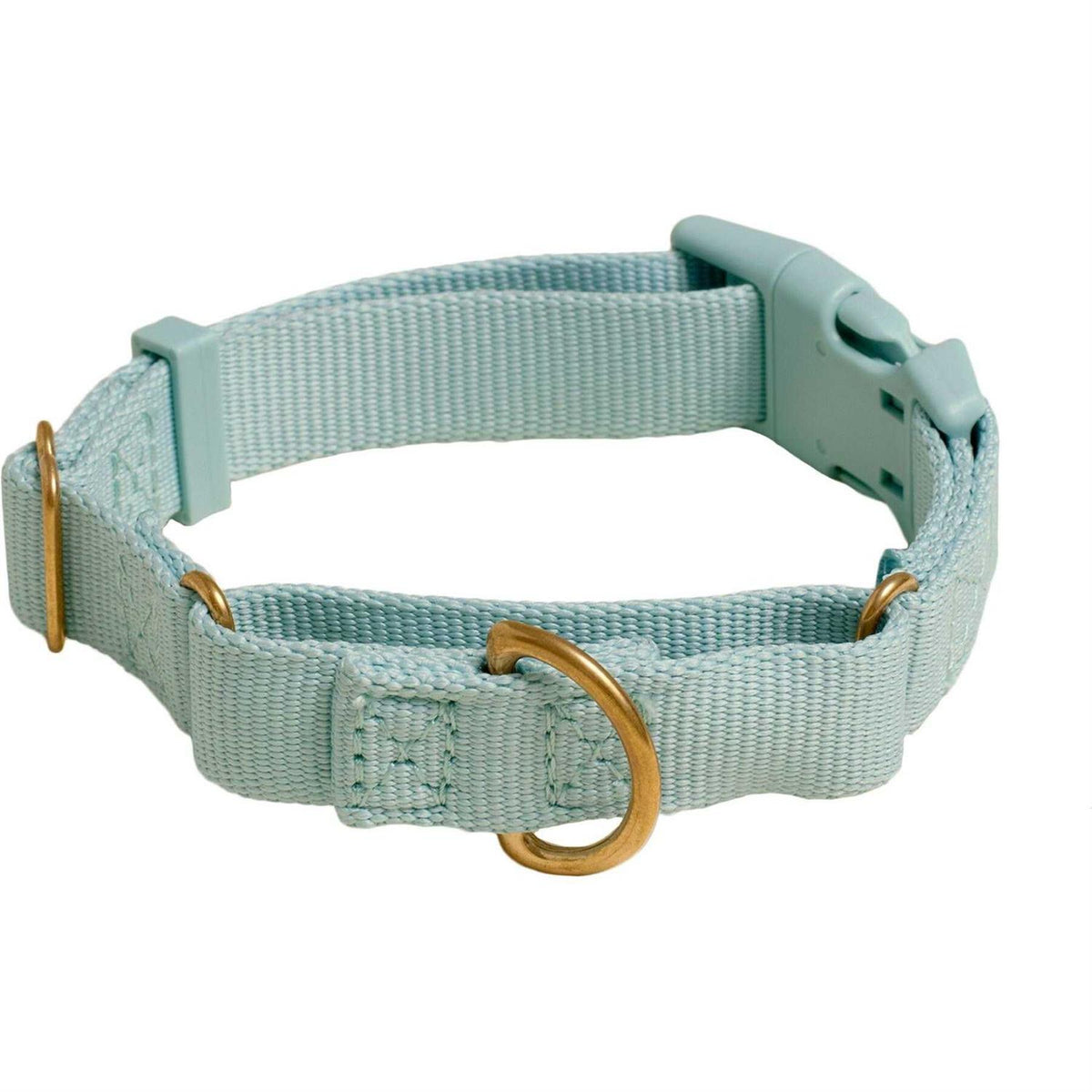 Martingale Dog Collar Y347