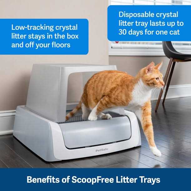 Crystal Disposable Litter Tray E246411