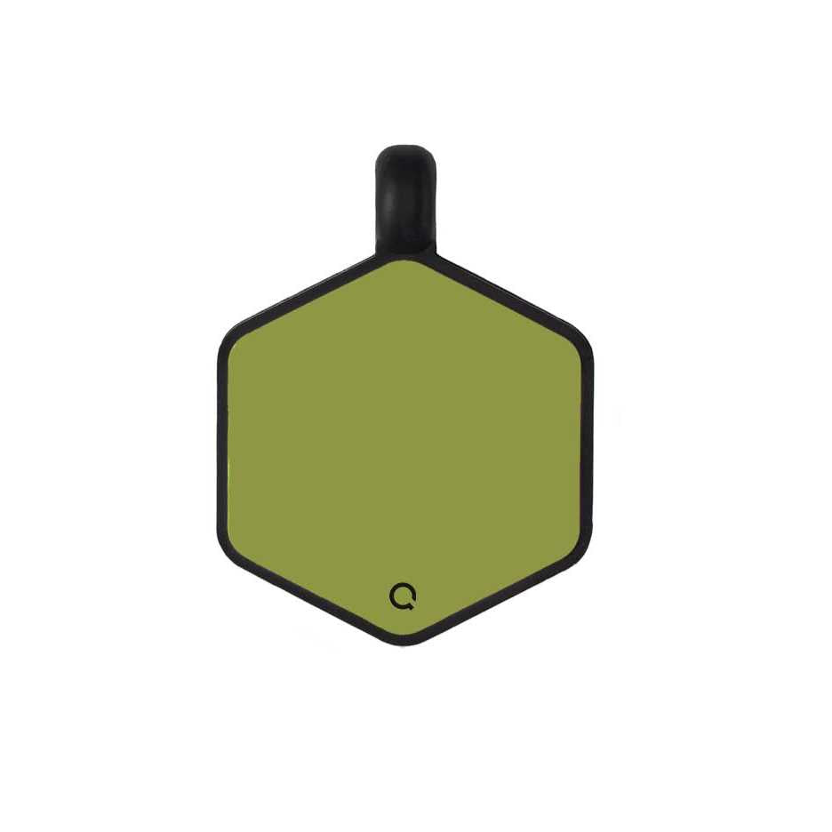Silicone Dog ID Tag Z1298