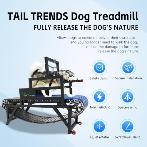 Dog Treadmill with Brake & Resistance Adjustment, Supports Up to 300 lbs K562