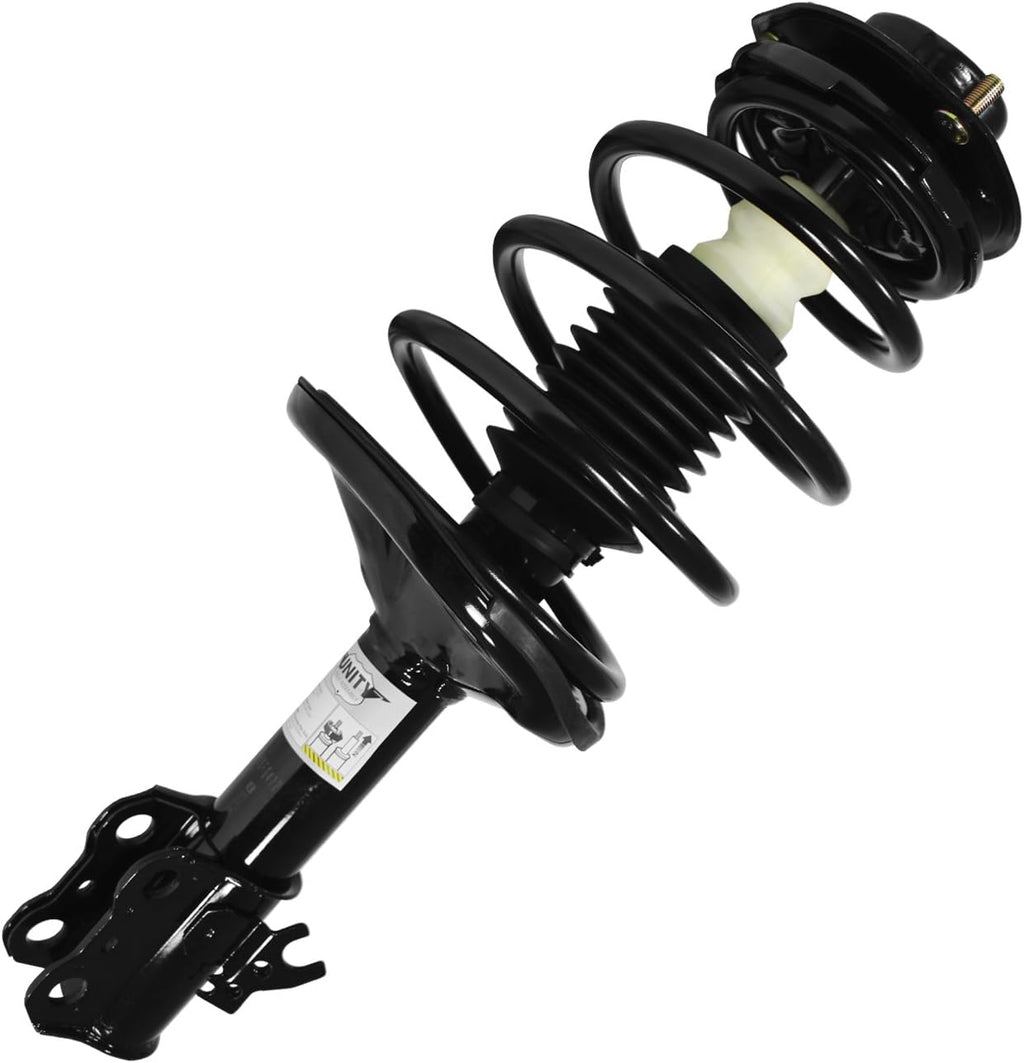 Rear 2 Wheel Complete Strut Assembly Kit D290048