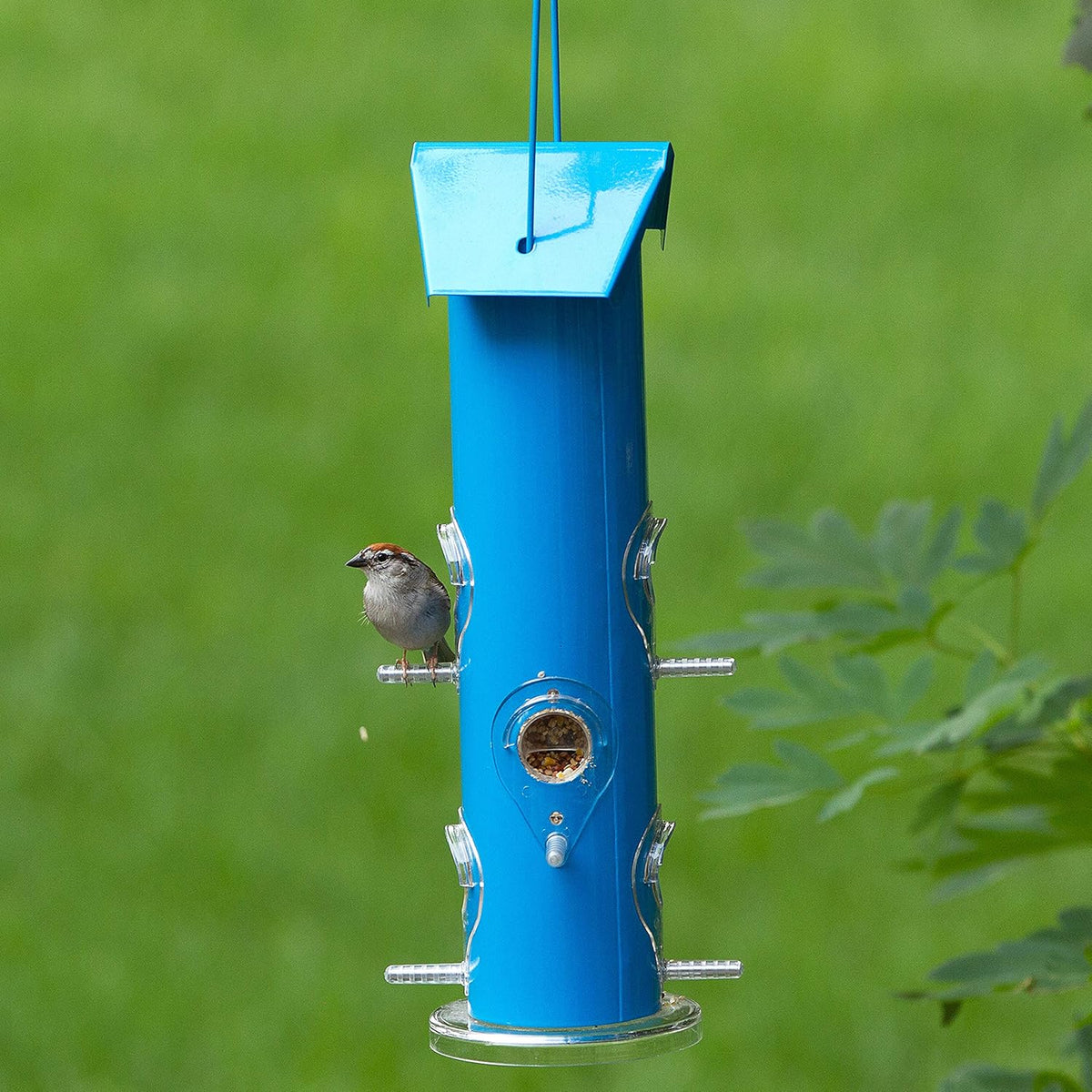 Blue Metal Tube Wild Bird Feeder F78268