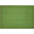 Grass Green 4x6 Rectangle Kids Carpet M162941