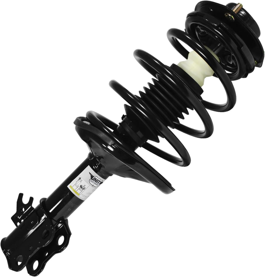 Rear 2 Wheel Complete Strut Assembly Kit D290048