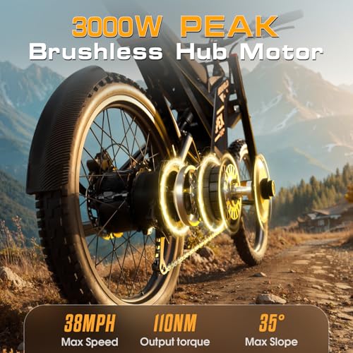 Electric Dirt Bike with 3000W Brushless Motor and 48V 30AH Battery V850