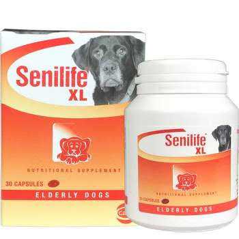 Nutritional Supplement for Elderly Dogs K631