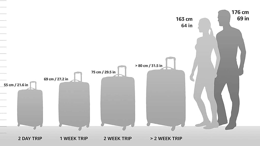 Navy Expandable Rolling Upright Luggage 2-Piece Set B98888