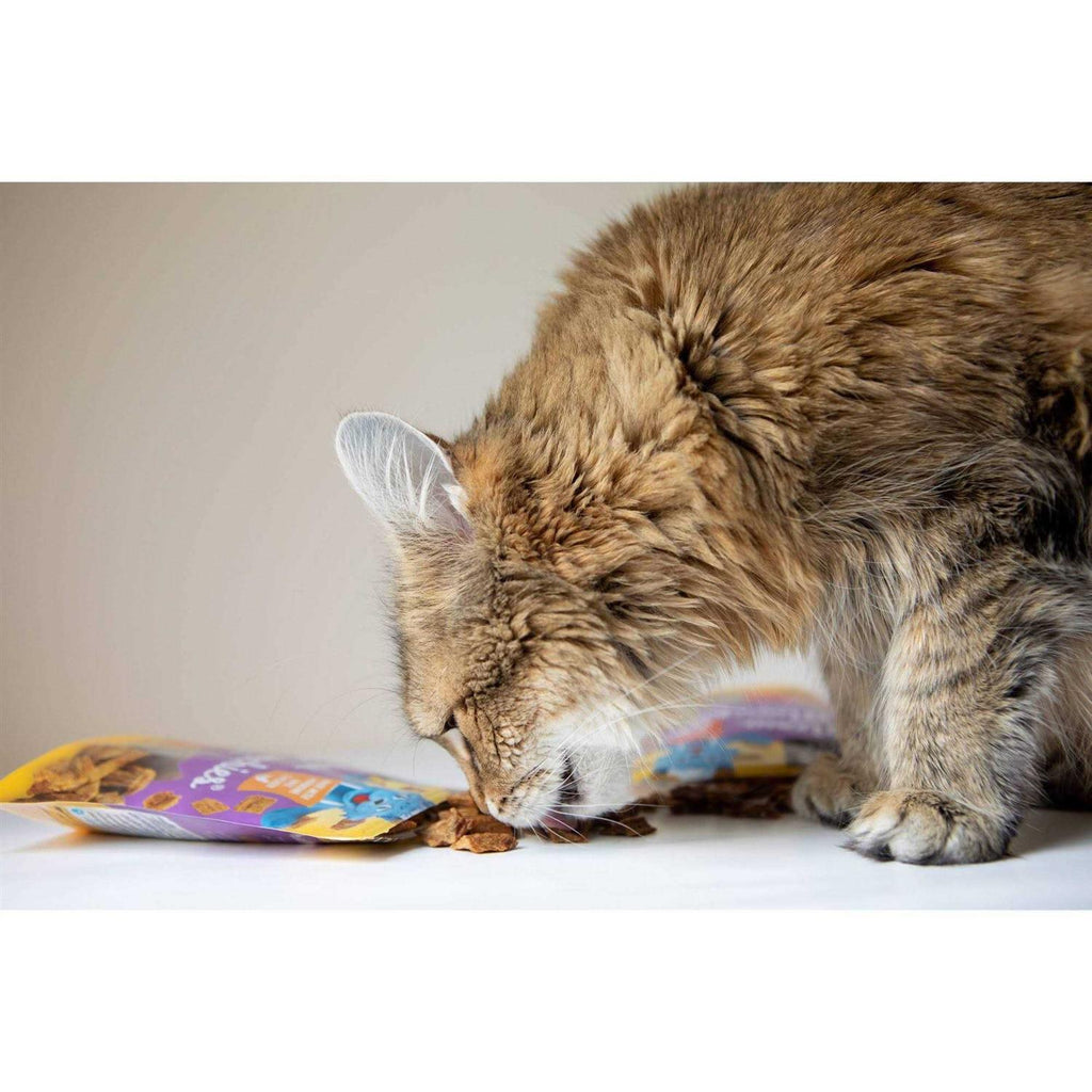 Blue Cat Bakery Meow Munchies Cats W66506