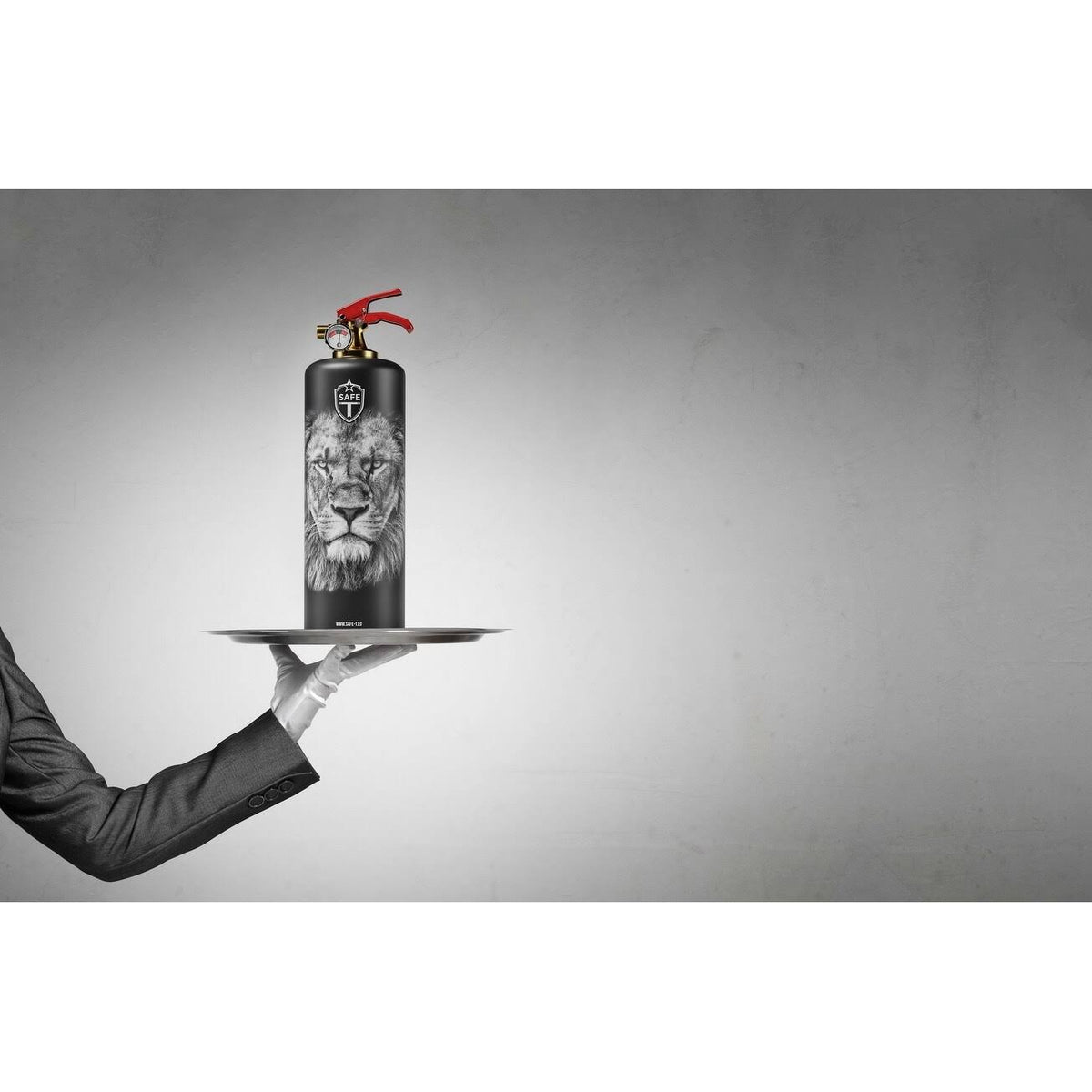 Black Fire Extinguisher Q8119