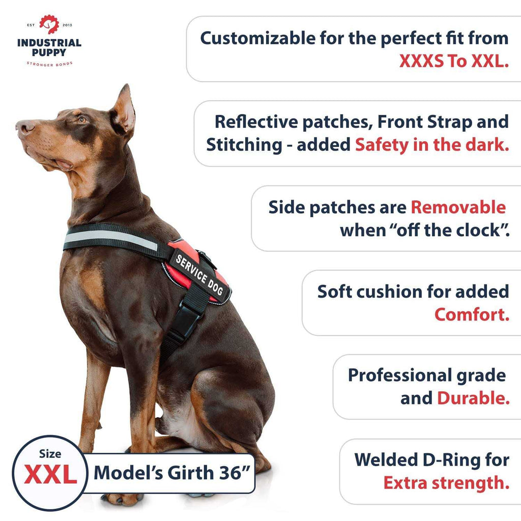 Service Dog Vest with Hook and Loop Straps and Handle H568