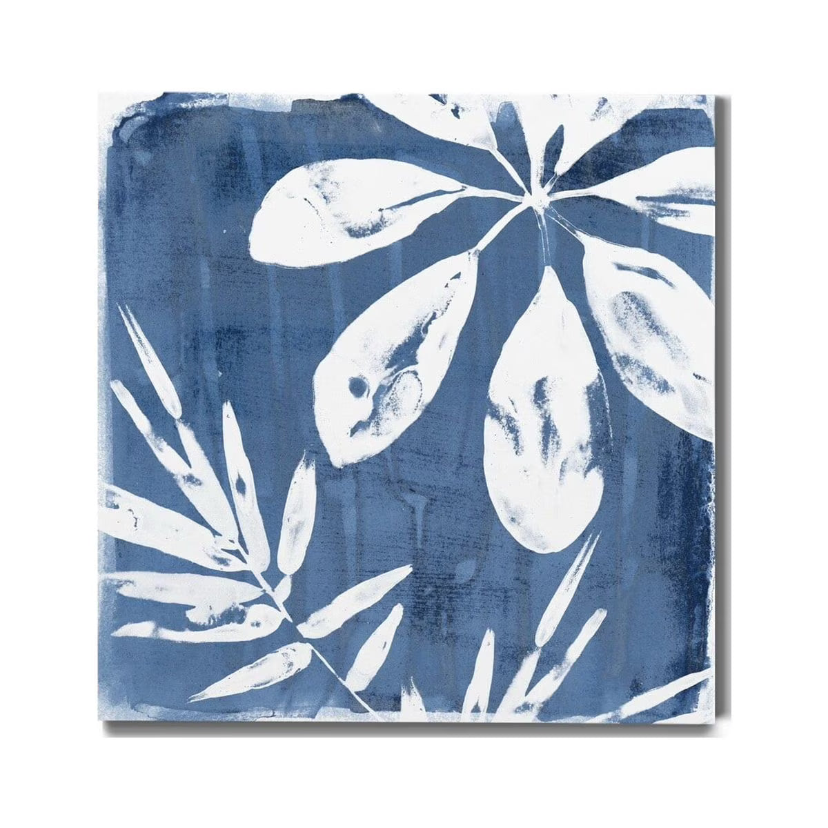 Tropical Indigo Gallery Wrapped Canvas 10x10 H33204