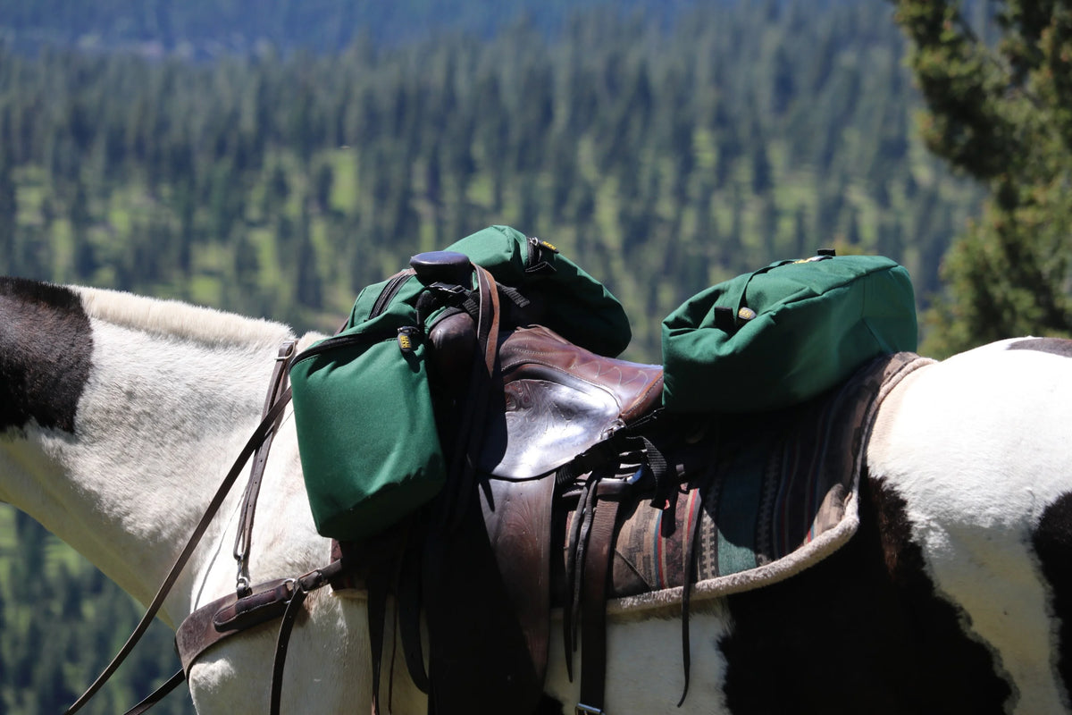 Medium Horse Horn Bag and Cantle Bag Saddle Bag Combo N85268