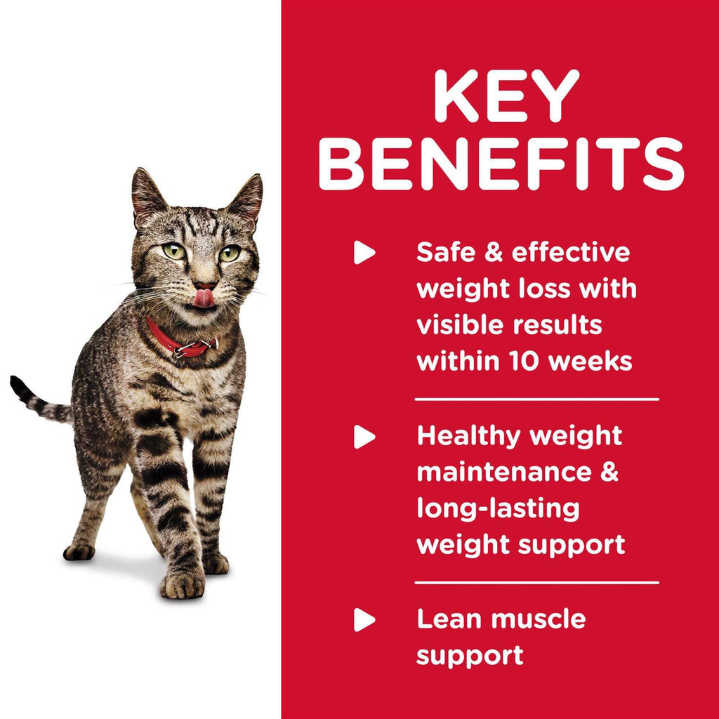 Adult Perfect Weight Roasted Vegetable & Chicken Medley Cat Food V863