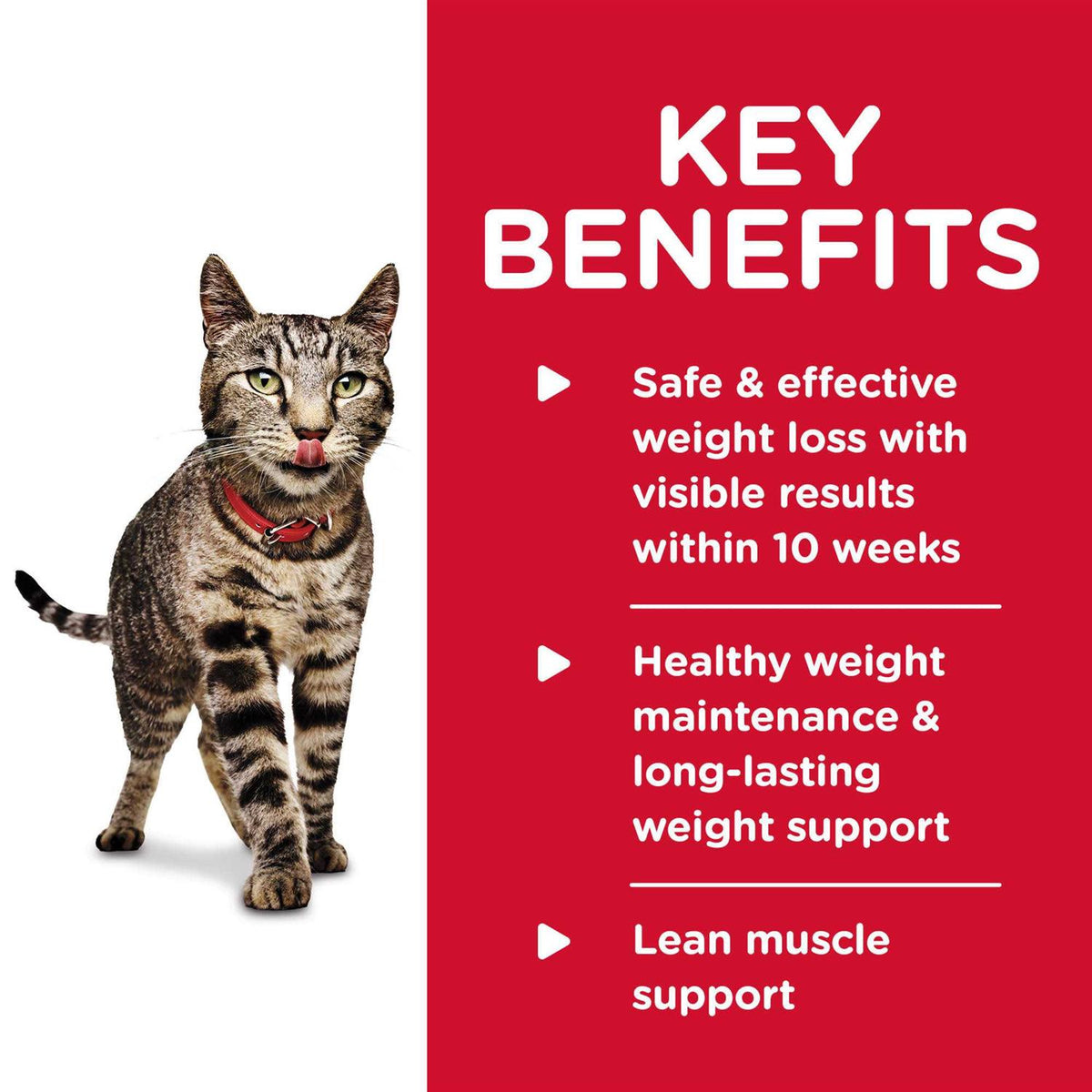 Adult Perfect Weight Roasted Vegetable & Chicken Medley Cat Food V863
