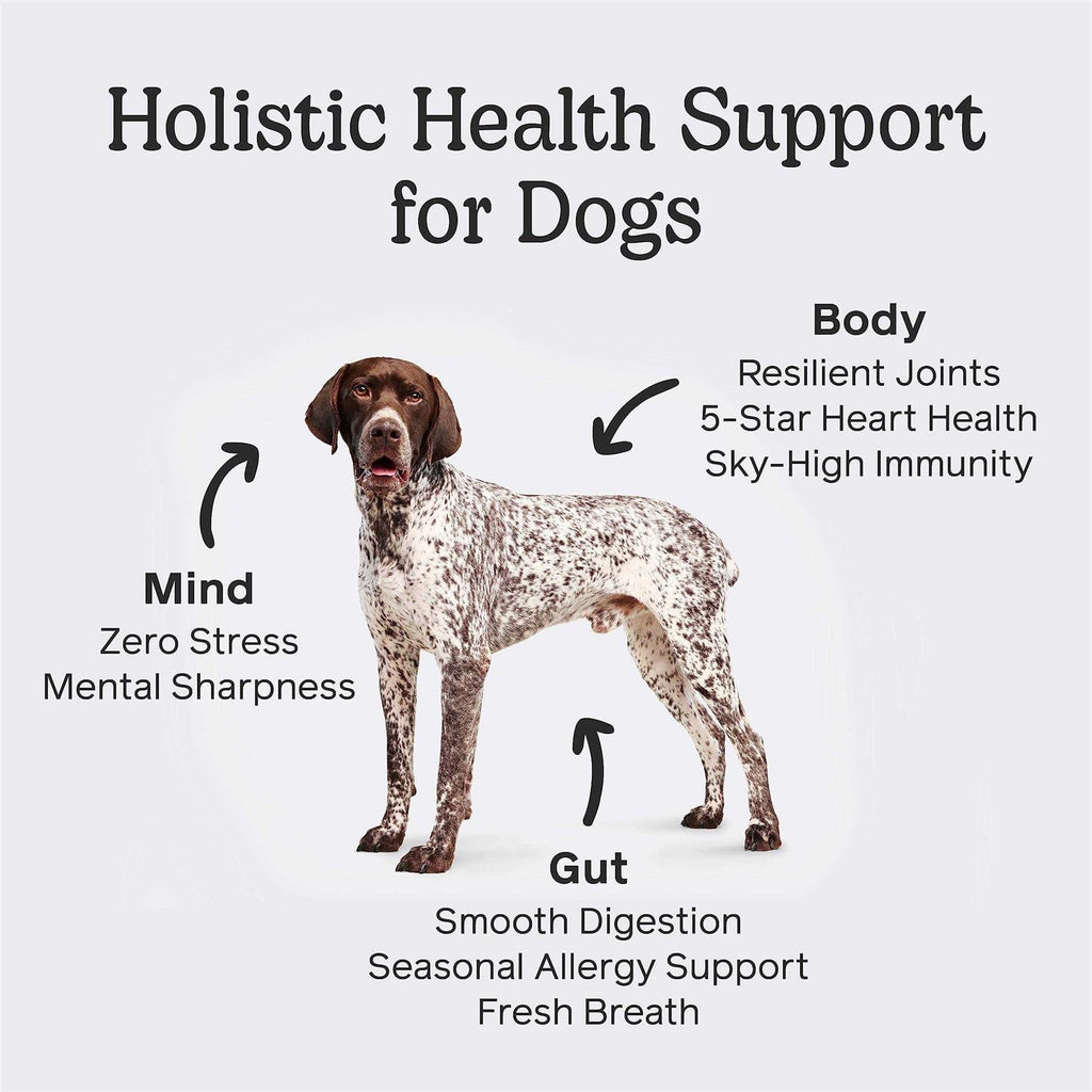 Dog Pet Supplies E227