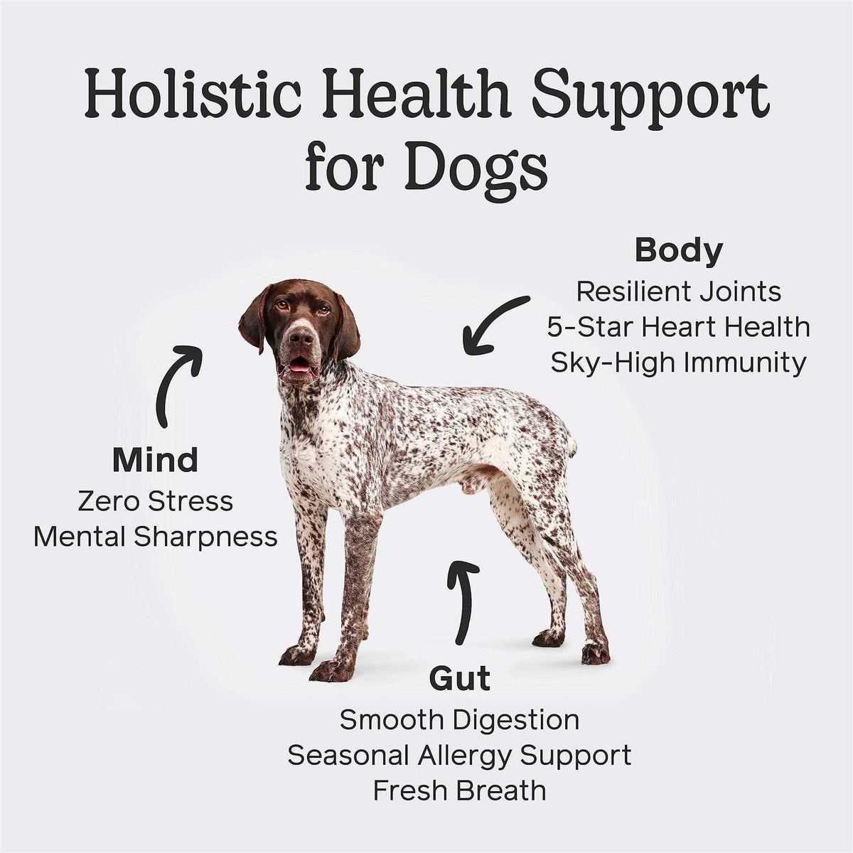 Dog Pet Supplies E227