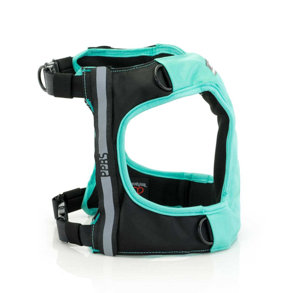 Safety Q80206