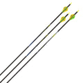 Carbon Arrow 30-Inch 3 Pack Z8110