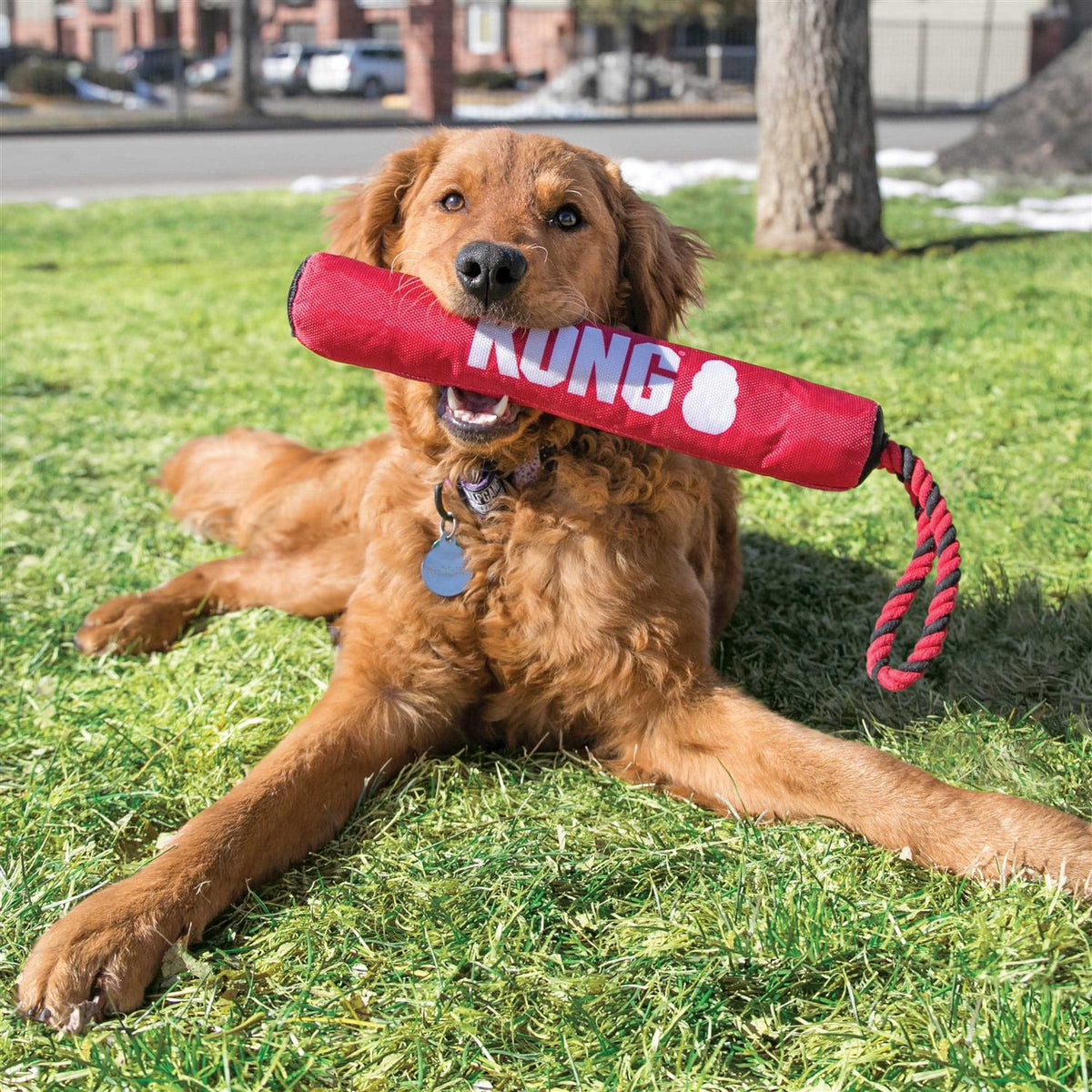 Dog Toy I8885