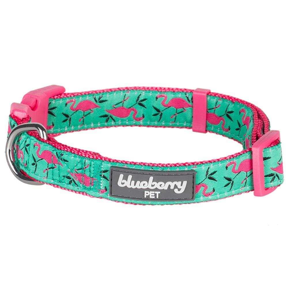 Dog Collar O326
