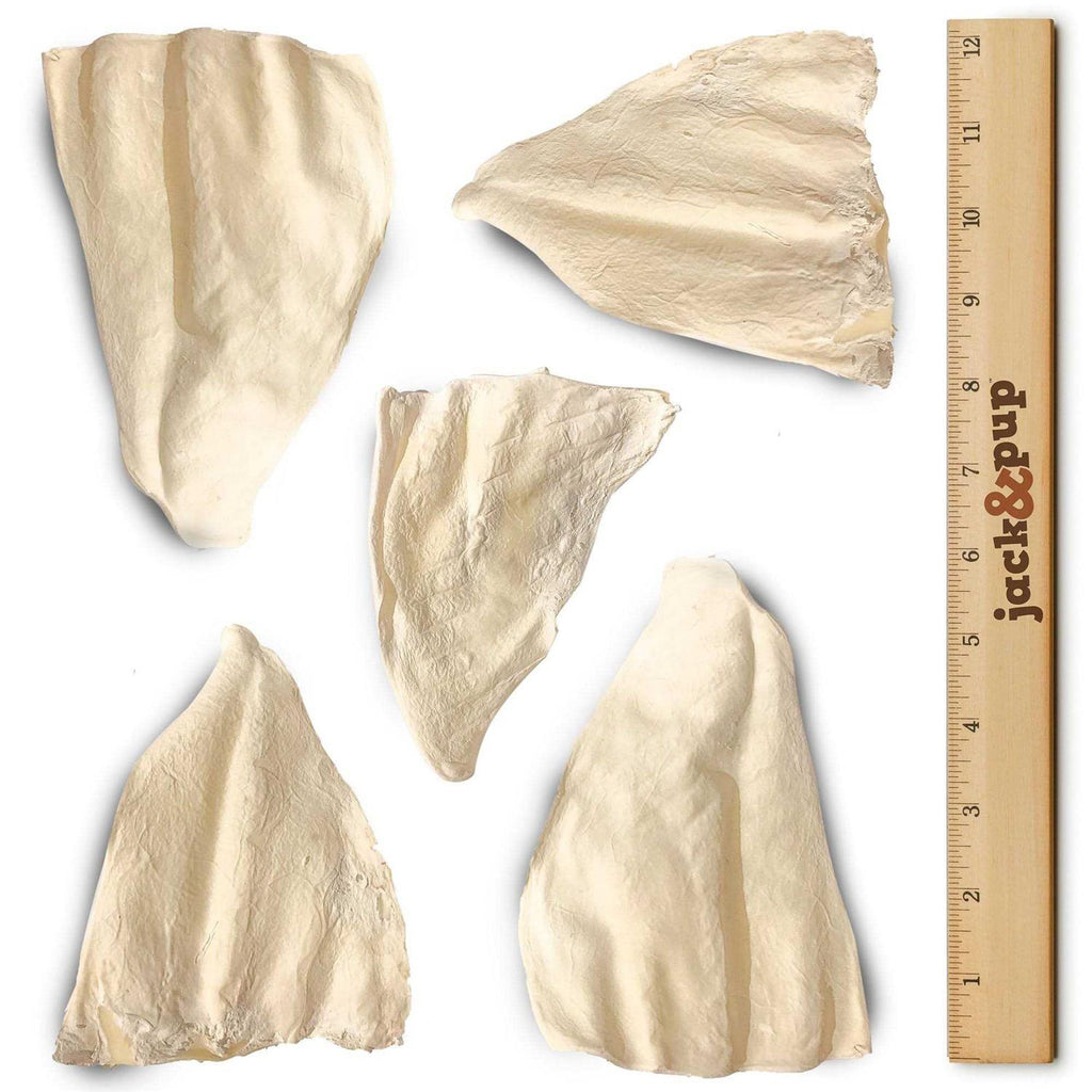 Cow Ears V875552