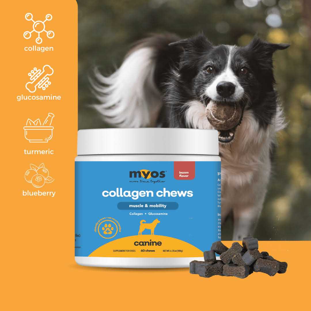 Collagen Chew for Dogs I155465