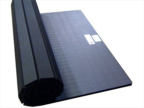 5'x10' Portable Foldable Martial Arts Tatami Mat A54809