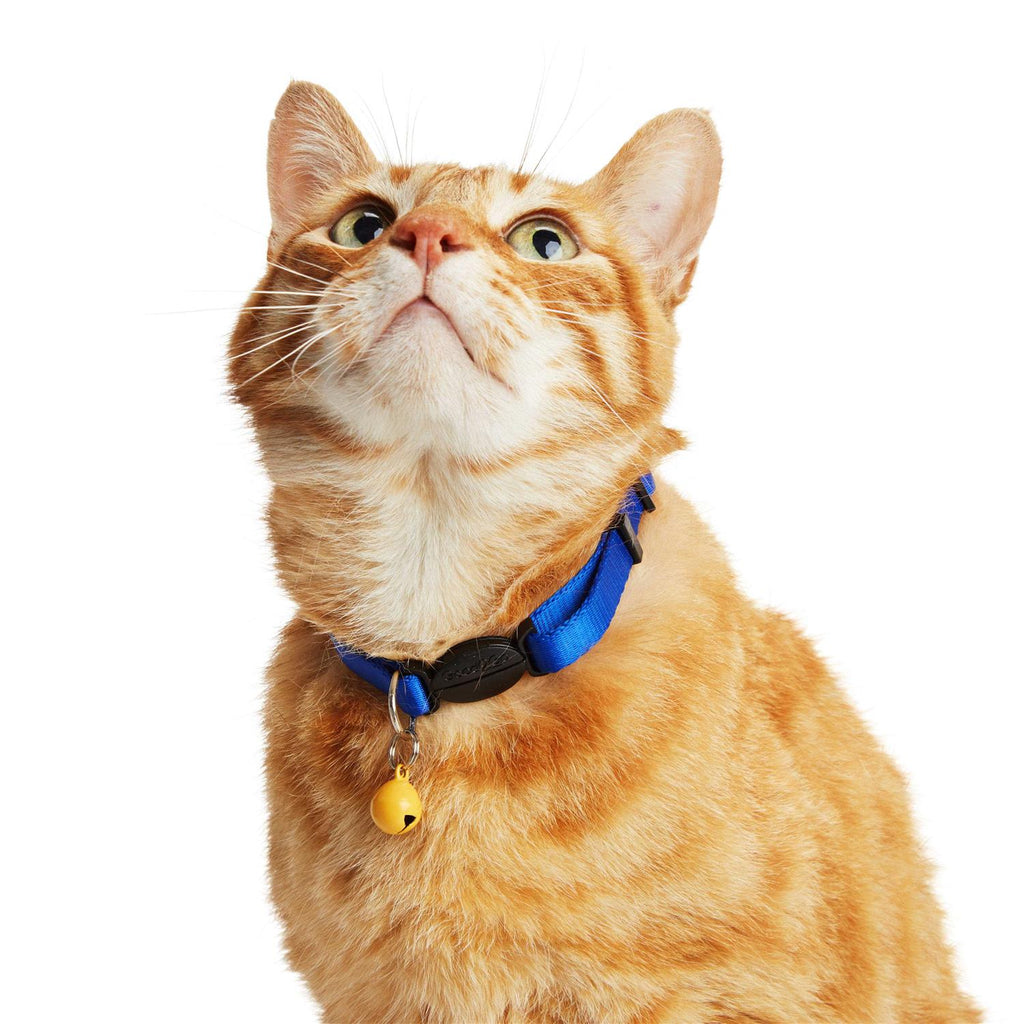 Colorful Bells Pet Supplies N3653
