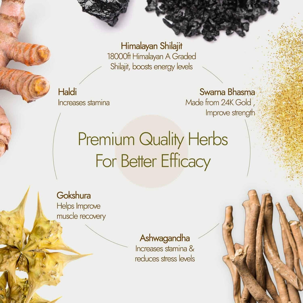 Shilajit Resin 20G U60196
