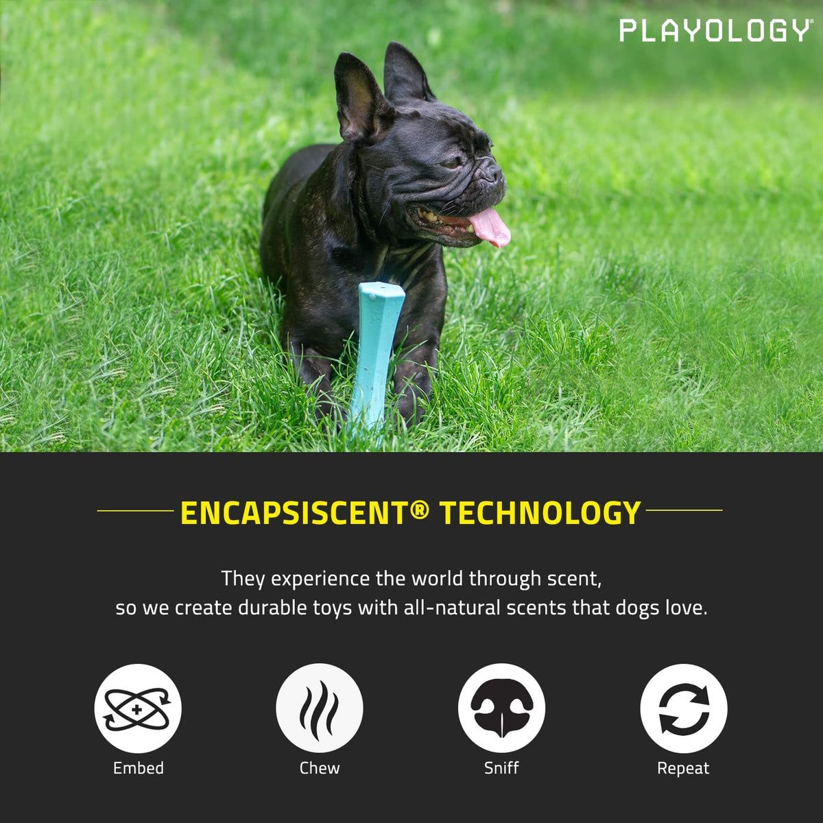 Blue Squeaky Dog Chew Stick Toy O6408