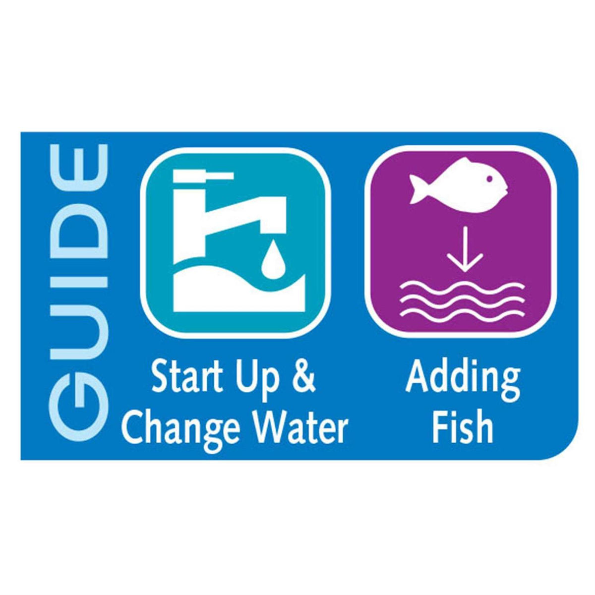 API Quick Start S13991