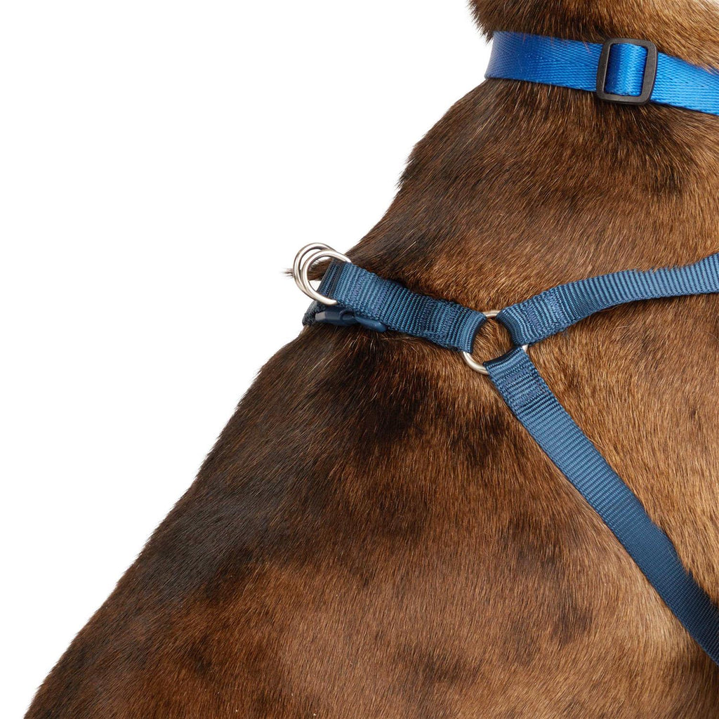 Padded Step-in Dog Harness S738257