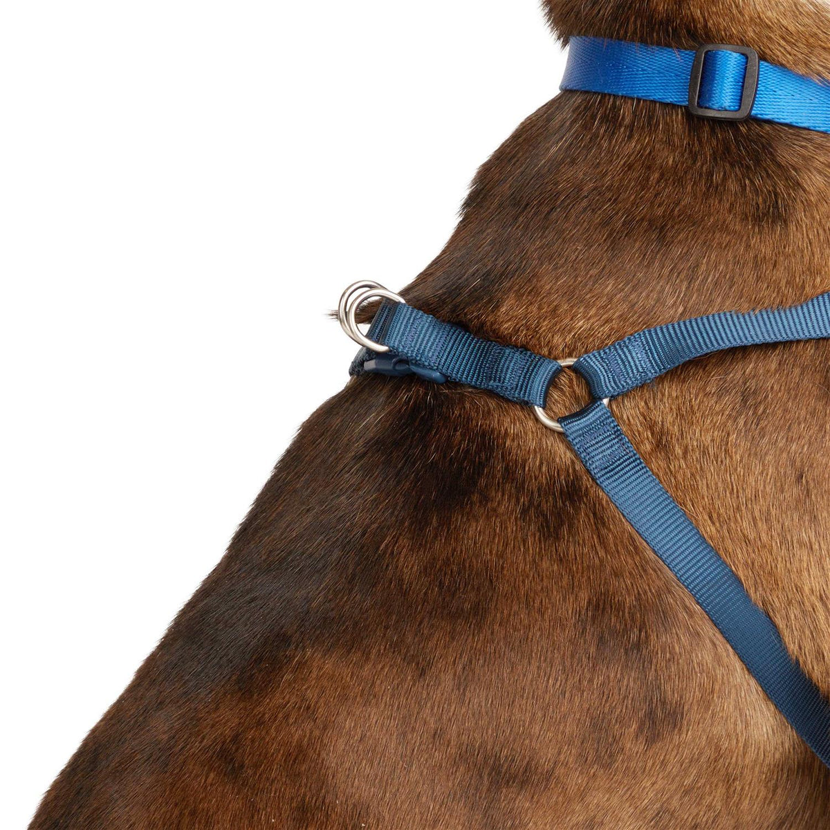 Padded Step-in Dog Harness S738257