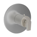 PVD Stainless Steel Thermostatic Trim Plate with Handle M64676
