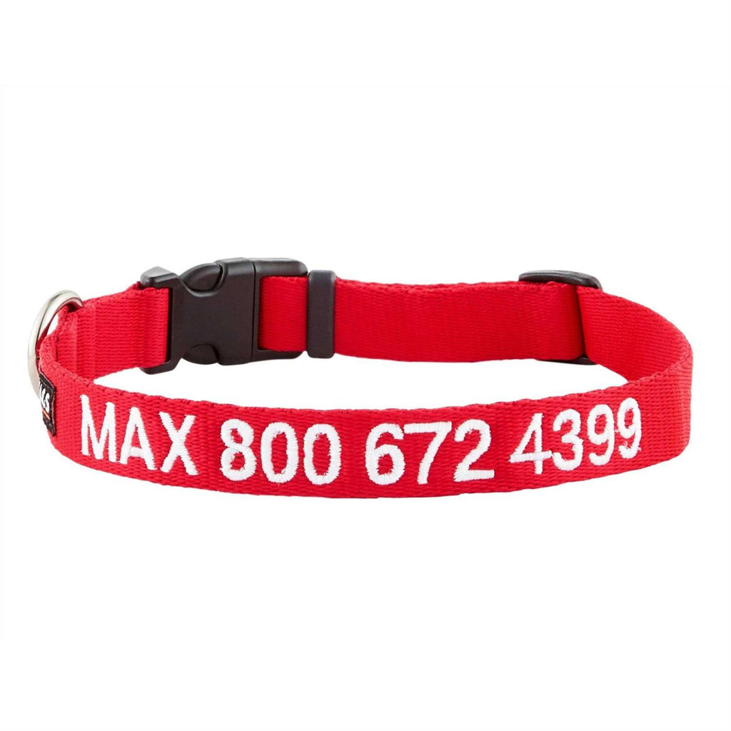 Nylon Personalized Dog Collar V727158
