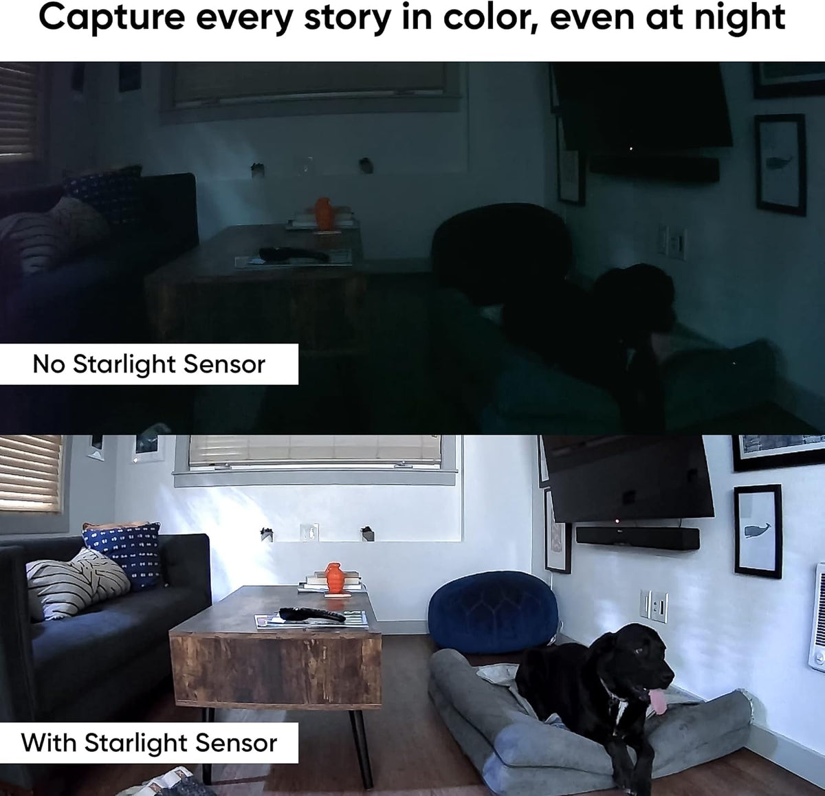 1080p Pan/Tilt/Zoom Indoor Camera with Color Night Vision M533070